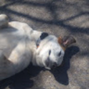 Meet your Posher, Travis